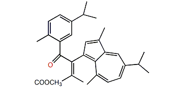 Anthogorgiene F